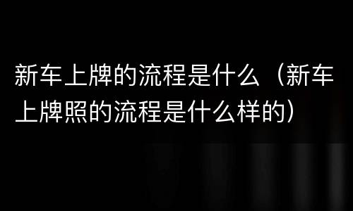 新车上牌的流程是什么（新车上牌照的流程是什么样的）