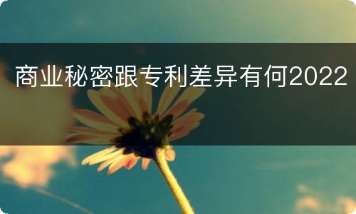 商业秘密跟专利差异有何2022