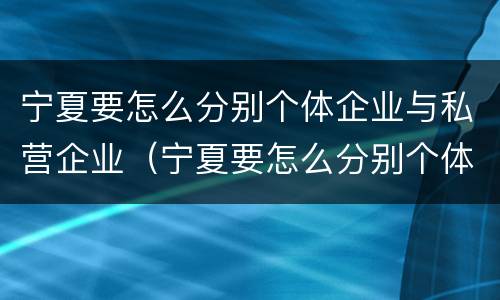 宁夏要怎么分别个体企业与私营企业（宁夏要怎么分别个体企业与私营企业呢）