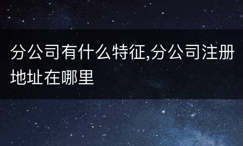 分公司有什么特征,分公司注册地址在哪里