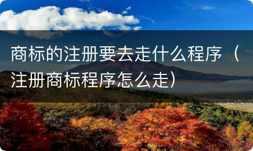 商标的注册要去走什么程序（注册商标程序怎么走）