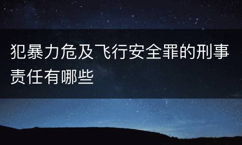 犯暴力危及飞行安全罪的刑事责任有哪些