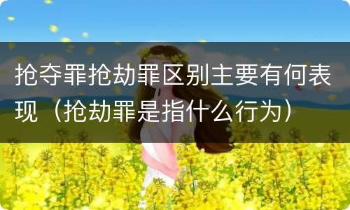 抢夺罪抢劫罪区别主要有何表现（抢劫罪是指什么行为）
