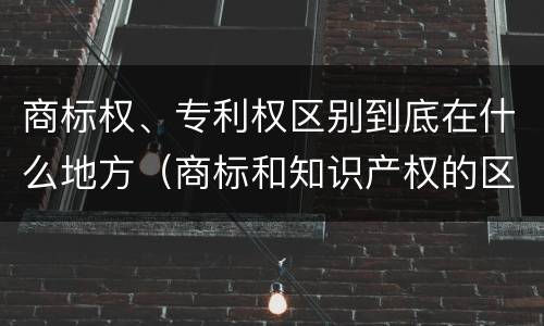 商标权、专利权区别到底在什么地方（商标和知识产权的区别）