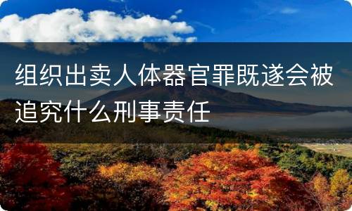 组织出卖人体器官罪既遂会被追究什么刑事责任