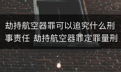 劫持航空器罪可以追究什么刑事责任 劫持航空器罪定罪量刑的依据