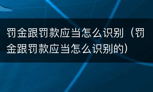 罚金跟罚款应当怎么识别（罚金跟罚款应当怎么识别的）