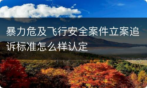 暴力危及飞行安全案件立案追诉标准怎么样认定