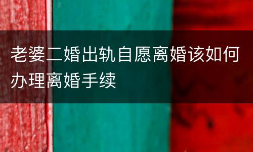 老婆二婚出轨自愿离婚该如何办理离婚手续