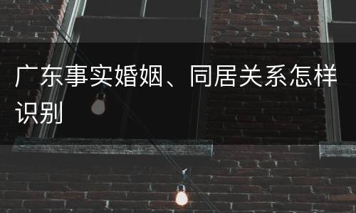 广东事实婚姻、同居关系怎样识别