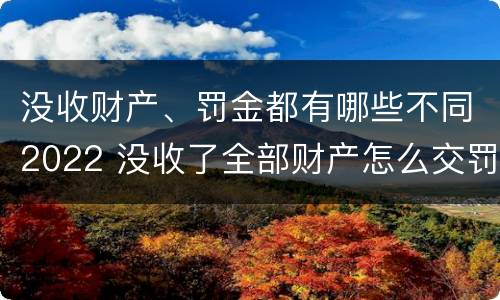 没收财产、罚金都有哪些不同2022 没收了全部财产怎么交罚款