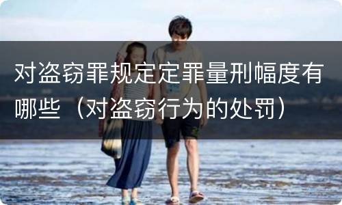 对盗窃罪规定定罪量刑幅度有哪些（对盗窃行为的处罚）