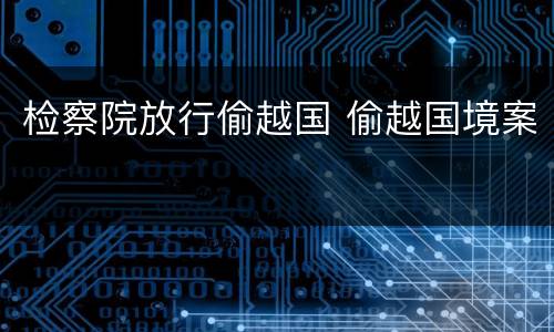 检察院放行偷越国 偷越国境案