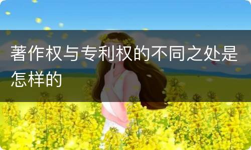 著作权与专利权的不同之处是怎样的