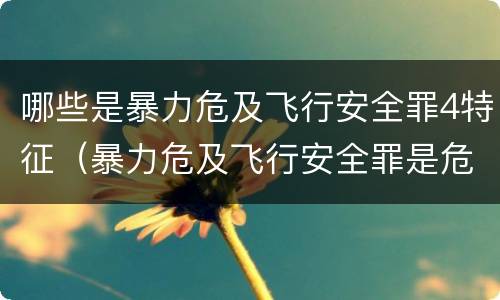 哪些是暴力危及飞行安全罪4特征（暴力危及飞行安全罪是危险犯吗）