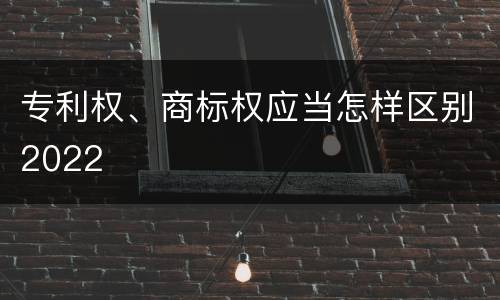 专利权、商标权应当怎样区别2022