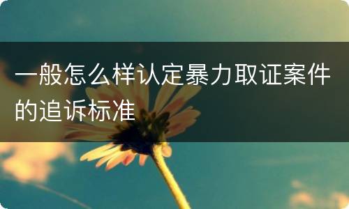 一般怎么样认定暴力取证案件的追诉标准
