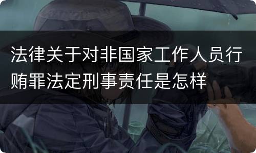 法律关于对非国家工作人员行贿罪法定刑事责任是怎样