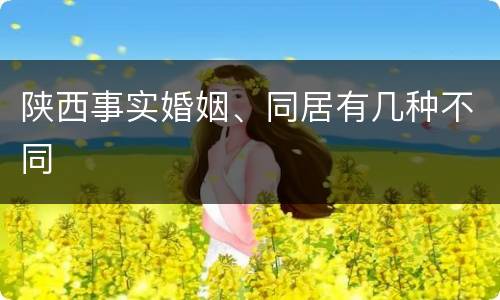陕西事实婚姻、同居有几种不同