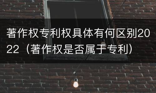 著作权专利权具体有何区别2022（著作权是否属于专利）