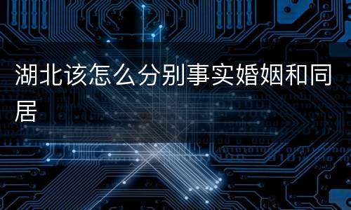 湖北该怎么分别事实婚姻和同居