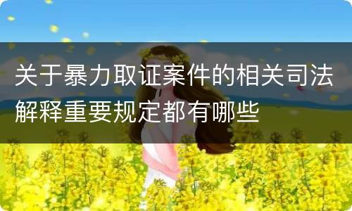 关于暴力取证案件的相关司法解释重要规定都有哪些