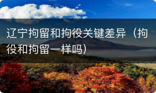 辽宁拘留和拘役关键差异（拘役和拘留一样吗）