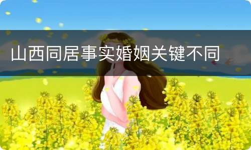 山西同居事实婚姻关键不同