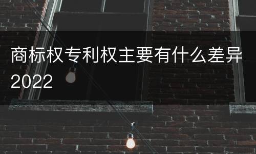 商标权专利权主要有什么差异2022