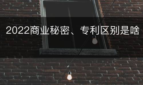 2022商业秘密、专利区别是啥