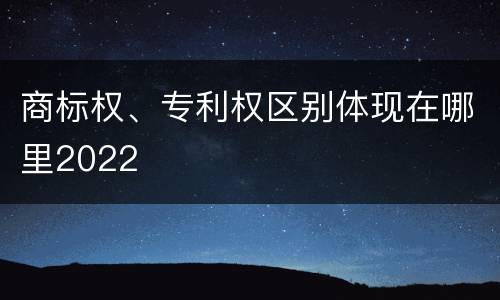 商标权、专利权区别体现在哪里2022