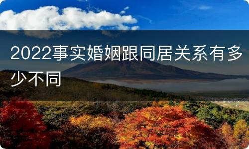 2022事实婚姻跟同居关系有多少不同
