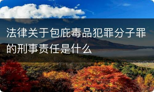 法律关于包庇毒品犯罪分子罪的刑事责任是什么