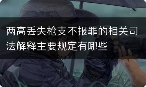 两高丢失枪支不报罪的相关司法解释主要规定有哪些