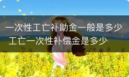 一次性工亡补助金一般是多少 工亡一次性补偿金是多少
