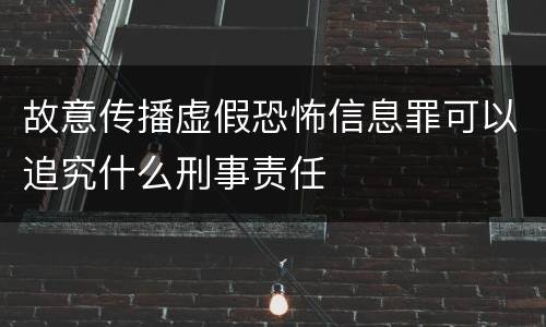 故意传播虚假恐怖信息罪可以追究什么刑事责任