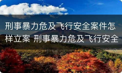 刑事暴力危及飞行安全案件怎样立案 刑事暴力危及飞行安全案件怎样立案的