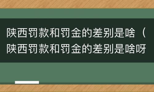 陕西罚款和罚金的差别是啥（陕西罚款和罚金的差别是啥呀）
