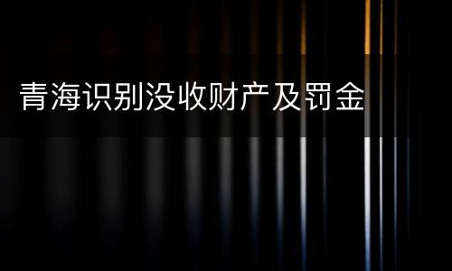 青海识别没收财产及罚金