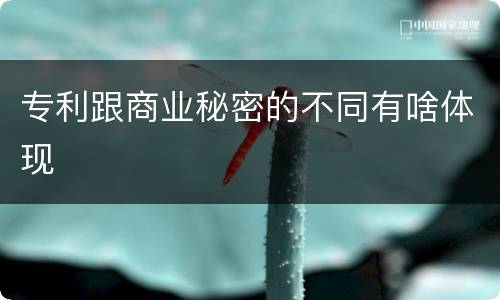 专利跟商业秘密的不同有啥体现