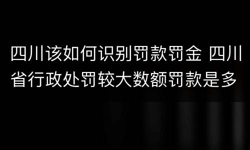 四川该如何识别罚款罚金 四川省行政处罚较大数额罚款是多少