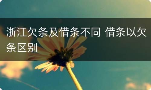 浙江欠条及借条不同 借条以欠条区别