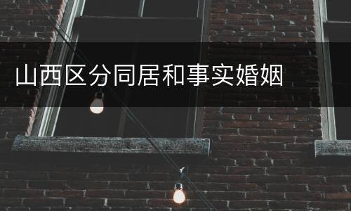 山西区分同居和事实婚姻