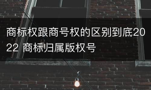 商标权跟商号权的区别到底2022 商标归属版权号