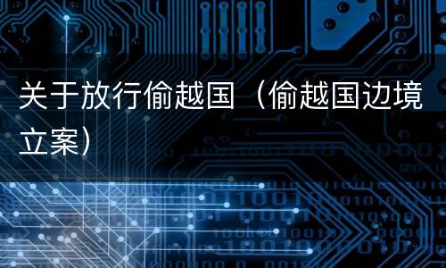 关于放行偷越国（偷越国边境立案）