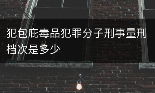 犯包庇毒品犯罪分子刑事量刑档次是多少