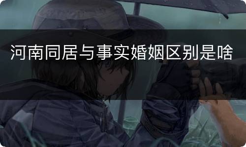河南同居与事实婚姻区别是啥