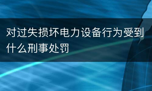 对过失损坏电力设备行为受到什么刑事处罚