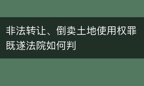 非法转让、倒卖土地使用权罪既遂法院如何判
