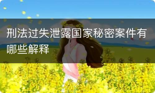 刑法过失泄露国家秘密案件有哪些解释